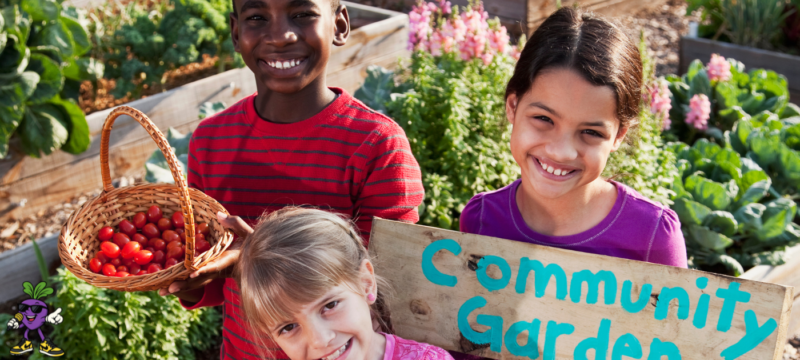 grow flow about photo